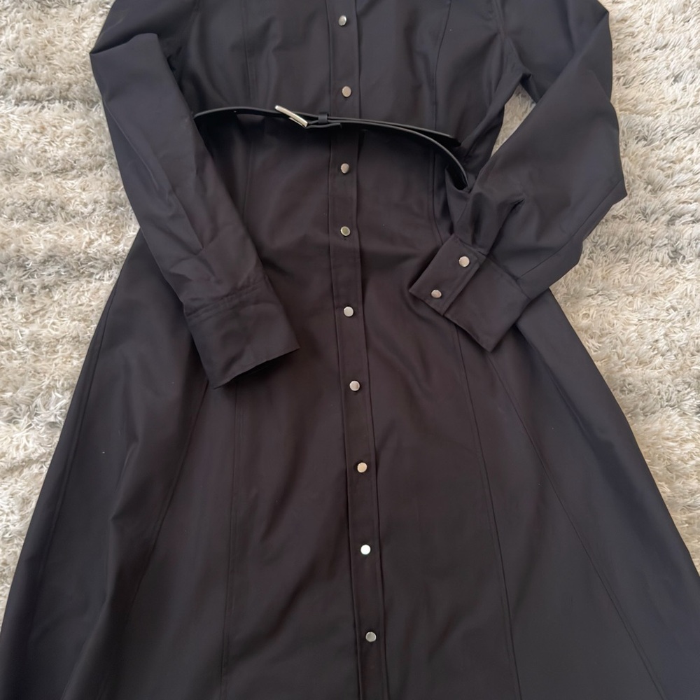 Zara Black Long Sleeve Button Dress